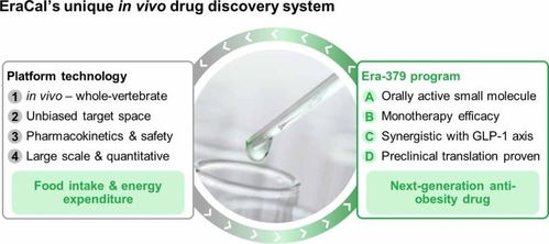 瑞士生物科技公司eracal therapeutics采用斑马鱼的表型筛选平台,成功研发出安全有效的肥胖症药物 瑞士创新100强