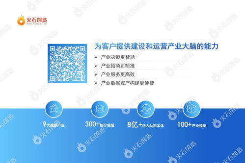 火石创造 2022中国医疗器械高值耗材产业报告